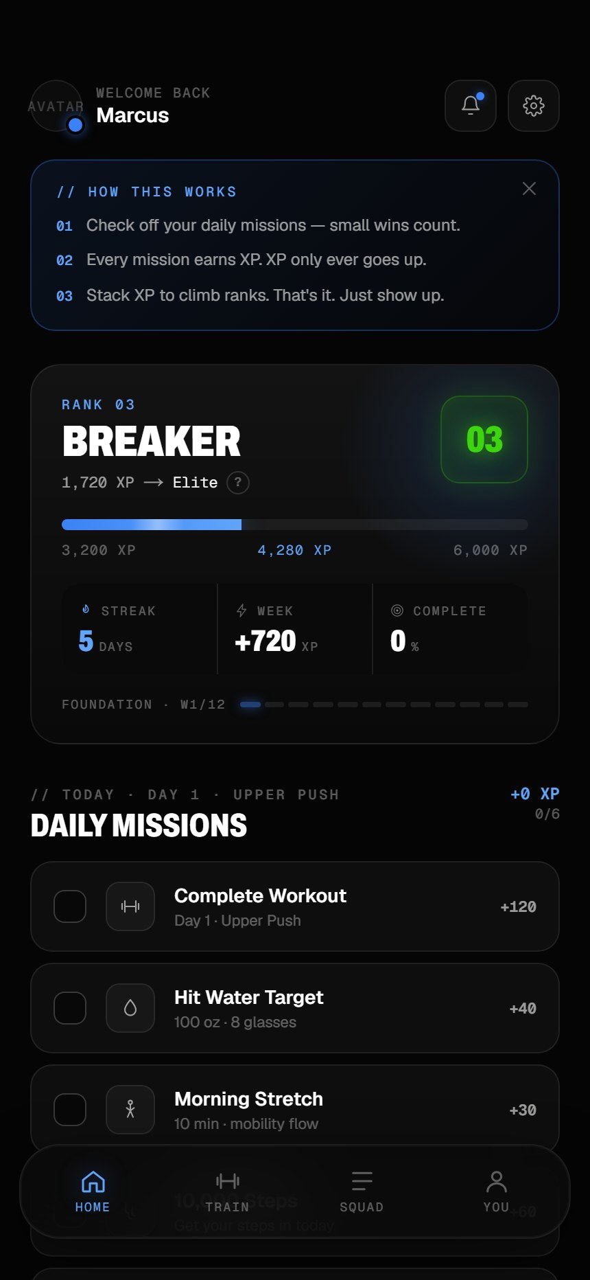 Break the Norm system dashboard — rank, XP, streak and daily missions