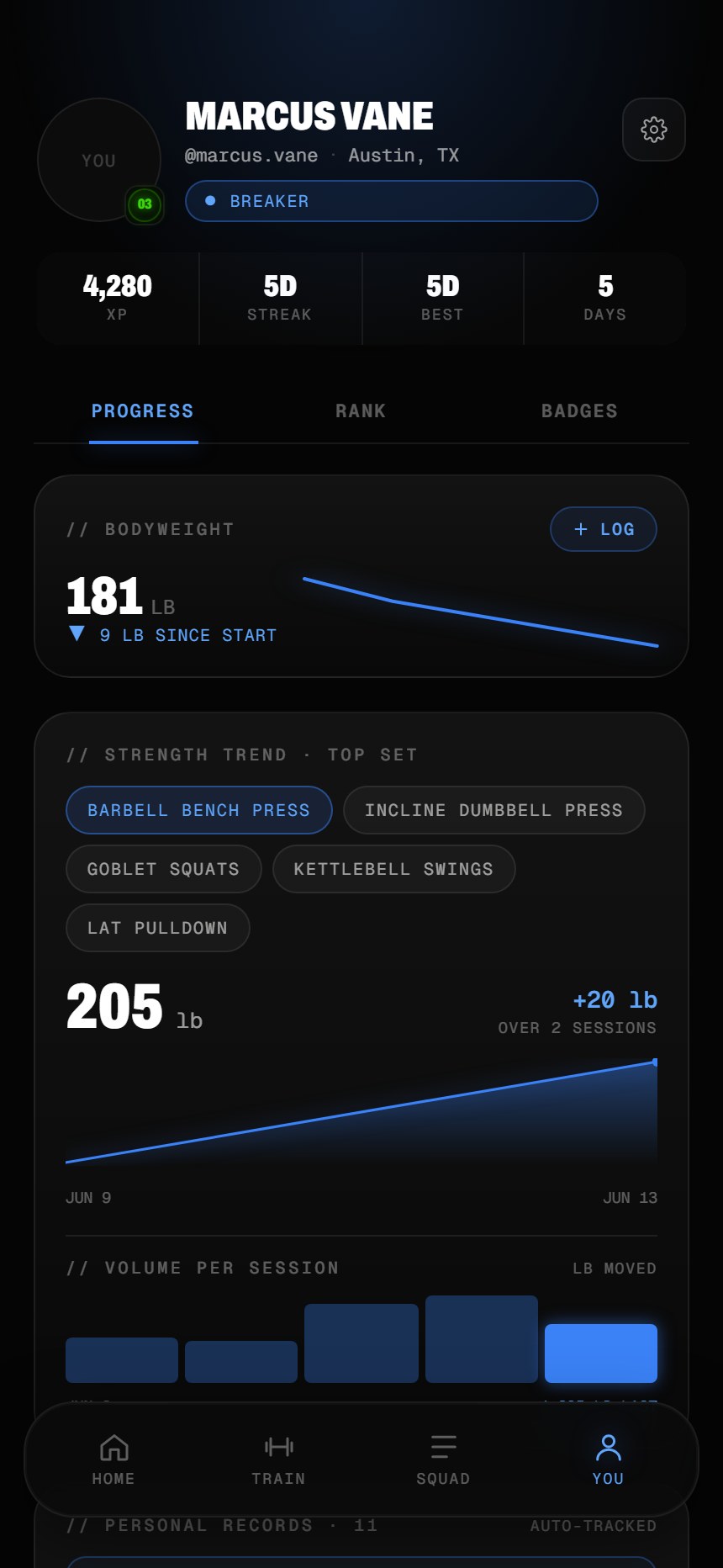 Break the Norm system profile screen — your rank, stats and training identity